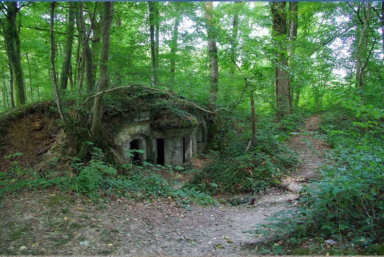 Moulin le Cygne